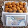 قطاب 600 گرمی شیرینی سنتی (بدون پودر قند)